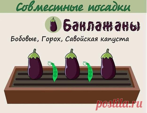 Анна Патренкова