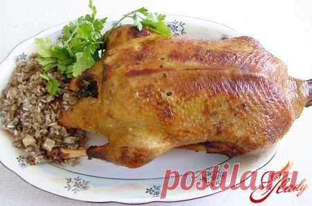 Утка, фаршированная гречкой и яблоками: устоять невозможно!