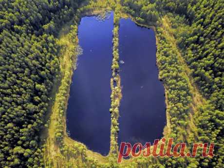 «Лёгкие планеты». Озеро Бучкино на территории Национального Парка «Угра» – результат добычи торфа в 50-х годах. Автор фото – Julia Abramova: