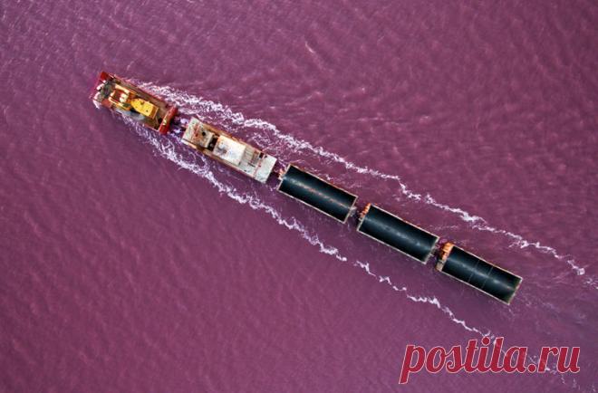 Находки недели / Моя Планета