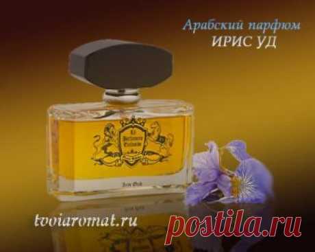 Альбом – Google+