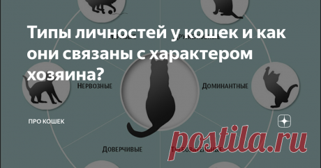 Типы личностей у кошек и как они связаны с характером хозяина? Все кошки разные, у каждой свой характер, привычки и причуды. В общем, все, как у людей. И если психологи выделяют несколько психотипов у человека, исследователи поведения животных решили выяснить, сколько типов личности у котов. Рассказываю, что получилось