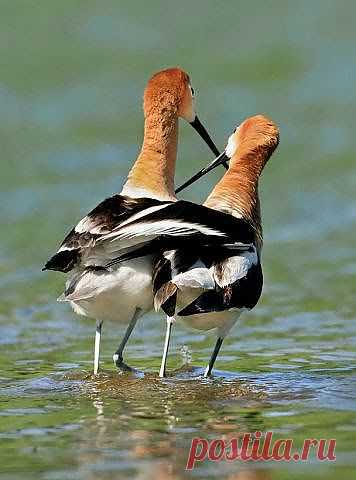 Новогодняя пьянка 2014