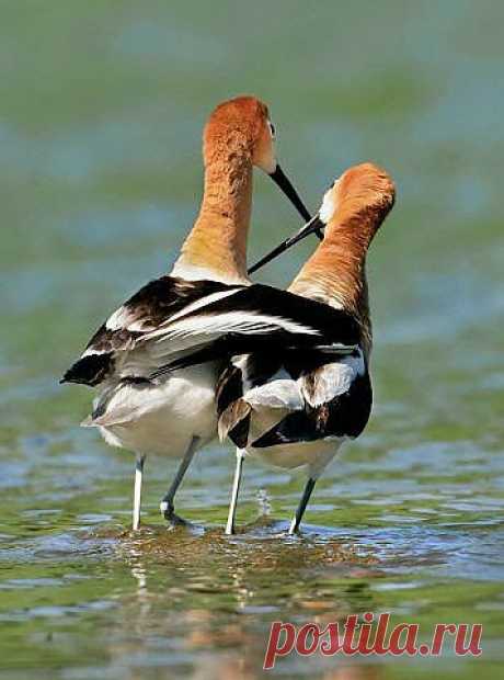 Новогодняя пьянка 2014