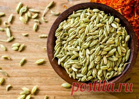 Лечебные свойства фенхеля и другие сферы применения приправы