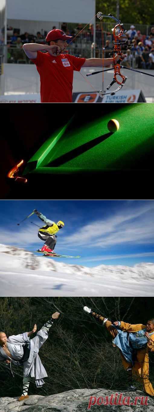 все функциональные структуры (1/1) - Спортивный форум. - Спортивный сайт