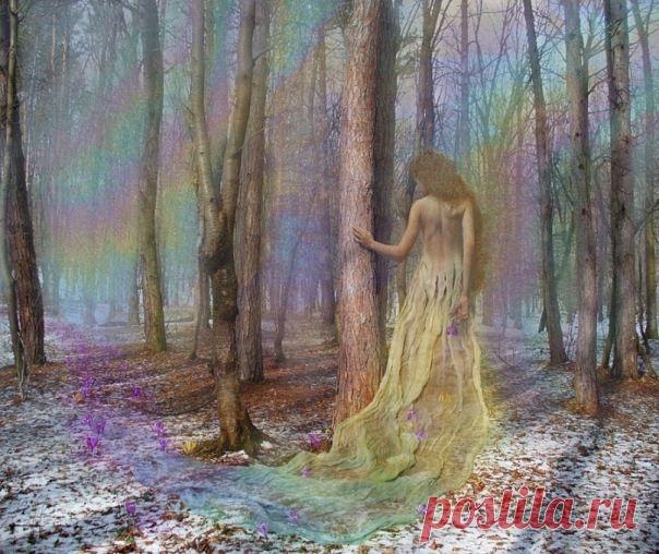 Запоздала весна,заплутала....