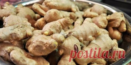 5 причин включить имбирь в рацион : Полезные советы : Кулинария : Subscribe.Ru