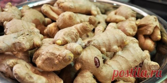 5 причин включить имбирь в рацион : Полезные советы : Кулинария : Subscribe.Ru