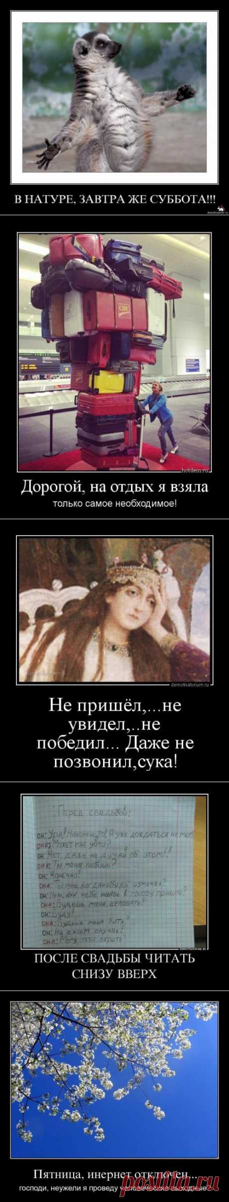 Немного прикольных демотиваторов для ценителей сатиры и юмора!