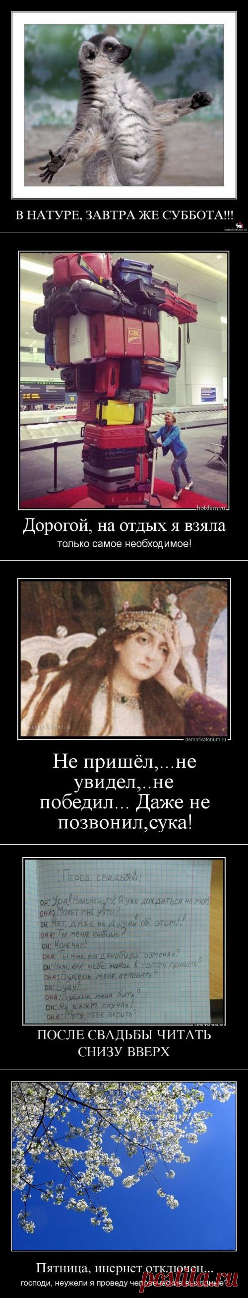 Немного прикольных демотиваторов для ценителей сатиры и юмора!