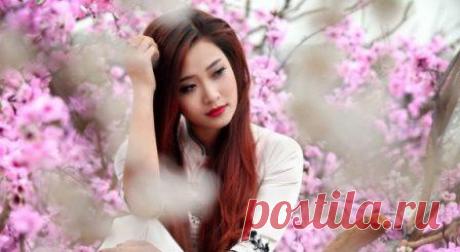 Усуи Рейки Риохо наша традиция посвящение одной Мастерской ступенью | Империя Рейки Усуи Рейки Риохо (Usui Reiki Rioho Gakkai) традиционная японская (восточная) система, посвящение обучение мастером одной Мастерской настройкой. Заходите.