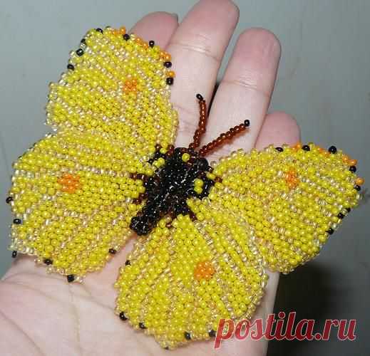 Бабочка "Лимонница"