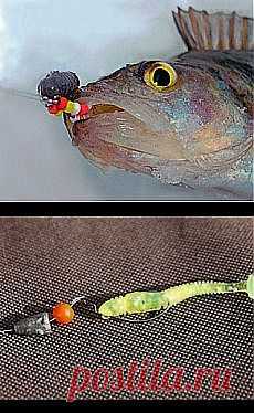 ★ Дочь Шона Пенна. Пуля для окуня. Иллюзии. СтопХам в зоопарке // Кусочек Постилы к чаю! - alex6108@mail.ru - Почта Mail.Ru