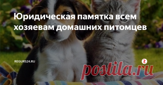 Юридическая памятка всем хозяевам домашних питомцев Домашний питомец является для своего хозяина не просто животным,  но и другом, членом семьи, и даже ребенком. Но как бы вы не относились к  своему питомцу, существуют определенные правила, нарушив которые, вы  рискуете столкнуться с представителями закона.
В России строго установлены правовые нормы о содержании питомцев, и их  следует знать и соблюдать, чтобы не было последствий в дальнейшем.
ПРАВ