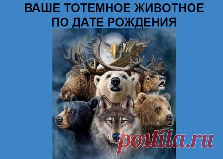 1 непрочитанный чат