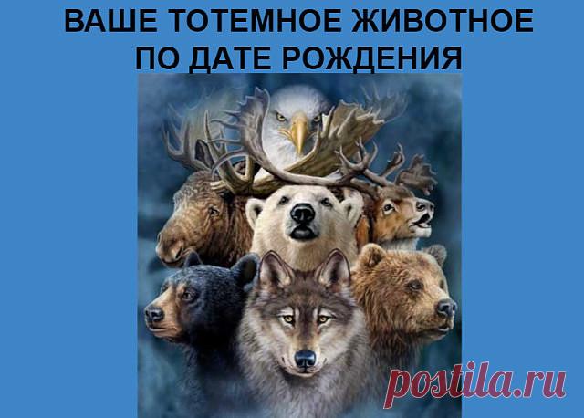 1 непрочитанный чат