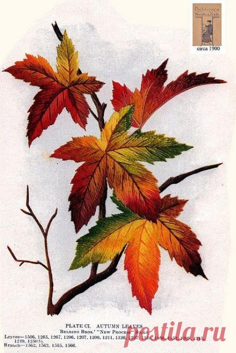 (2277) Pinterest