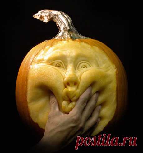 Необычные хобби творческих людей