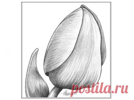 Техники рисования - Part 10