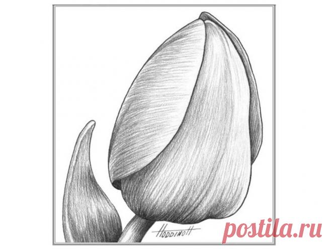 Техники рисования - Part 10