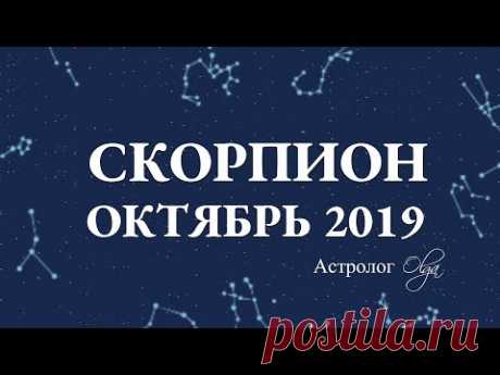 МЕСЯЦ НАЧИНАНИЙ СКОРПИОН гороскоп ОКТЯБРЬ 2019. Астролог Olga