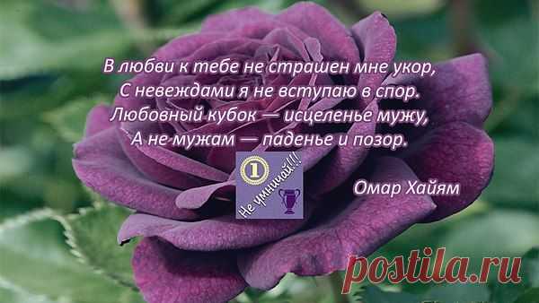 Интересные новости