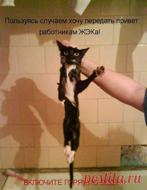 Ни ссан говоришь? Ща исправим! mnogosmexa.ru