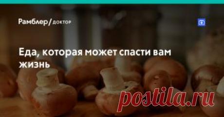 Еда, которая может спасти вам жизнь — Рамблер/доктор Никто из нас не хочет, чтобы тот дом, в котором он планирует прожить длительное время, был построен кое-как и с использованием самых дешевых и недолговечных материалов.