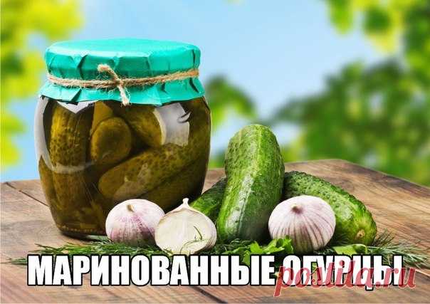 МАРИНОВАННЫЕ ОГУРЦЫ (ПОДБОРКА) 

Мы очень любим маринованные огурчики. Не самая полезная еда, но зато какая вкусная! Тем более что маринованные огурцы - закуска, можно сказать, универсальная: они отлично подходят к отварной или жаренной картошке, вкусны на бутерброде с ломтиком буженины, составят прекрасную компанию соусу к тушёному мясу или тефтелям, незаменимы в рассольнике и под профилактические 30 грамм. 

Рецептов маринованных огурцов - масса, у каждой хозяйки есть св...