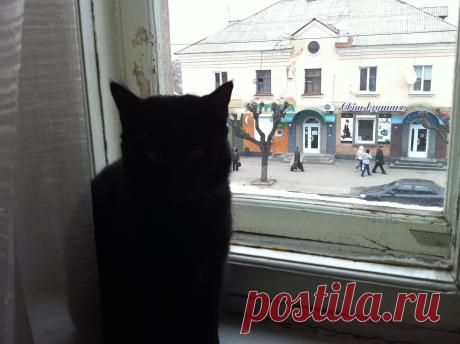 А за окном уже весна