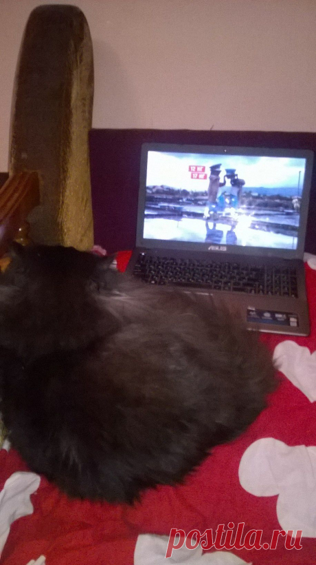 Орел и решка -моя любимая передача