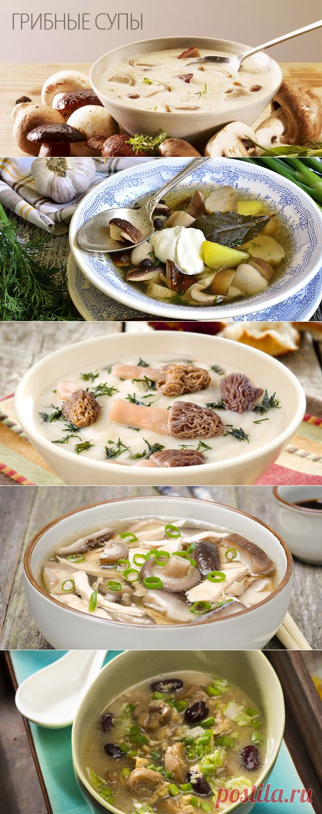 Блог вкусных рецептов с фото и видео - Грибные супы - Лучшие рецепты и мастер классы на сайте bonduelle.ru