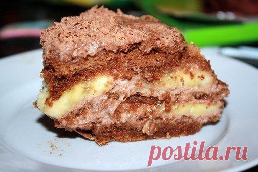 Марина Жила