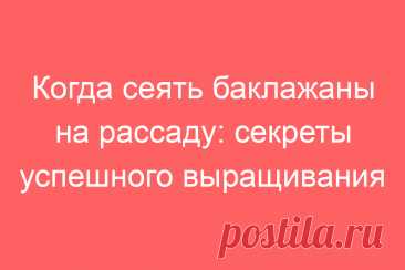 Когда сеять баклажаны на рассаду: секреты успешного выращивания
