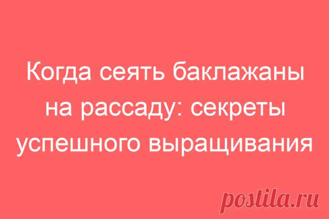 Когда сеять баклажаны на рассаду: секреты успешного выращивания