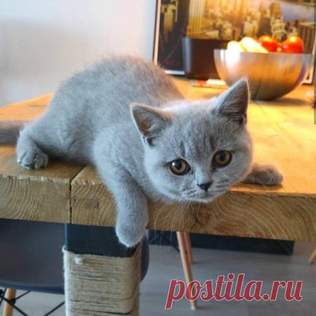 Просто ОЧАРОВАШКА!