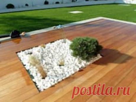 Невероятная трансформация заброшенного сада