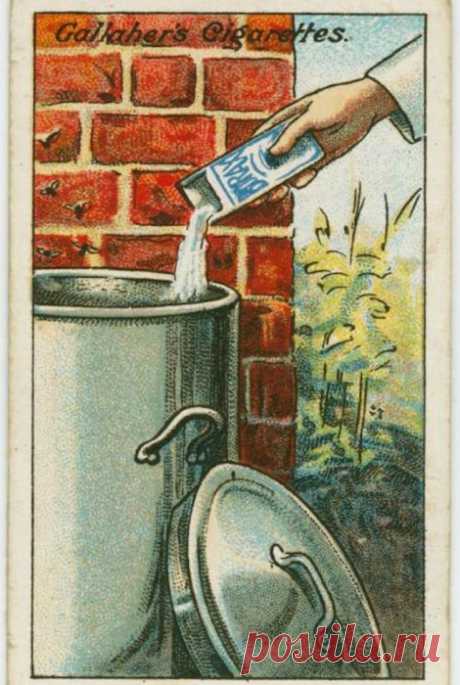 19 полезных советов викторианской эпохи, которые пригодятся и сегодняшнему обывателю