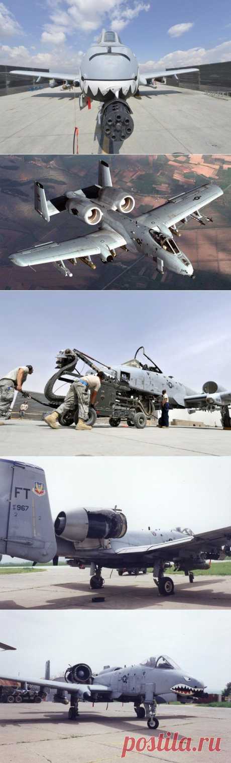 Поле боя: штурмовик, который A-10 Thunderbolt | 42.TUT.BY