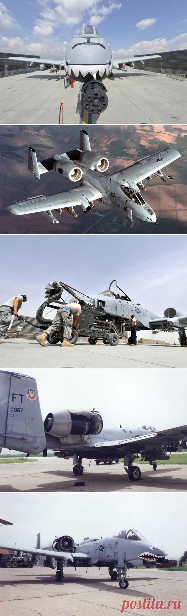 Поле боя: штурмовик, который A-10 Thunderbolt | 42.TUT.BY