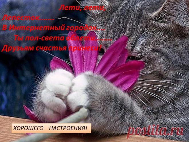 Тот, кто твердо уверен в направлении своих желаний и отваживается жить так, как мечтает, неизбежно и внезапно встретится со своим успехом.