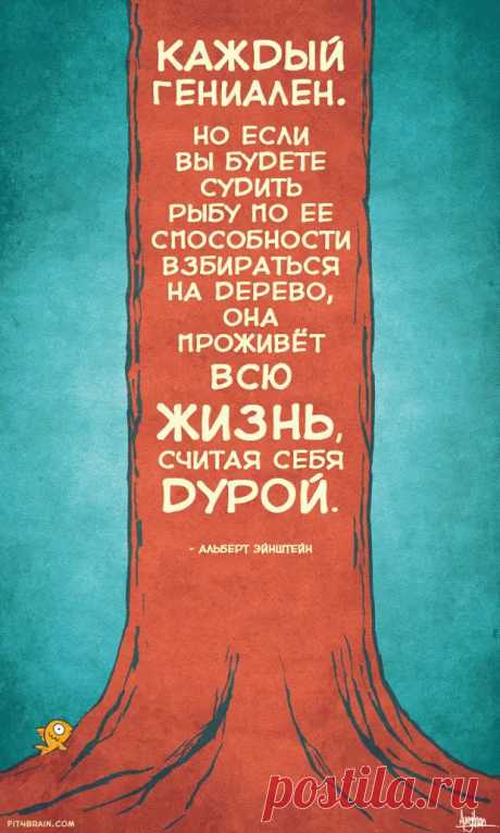 20 гениальных афоризмов светоча науки Альберта Эйнштейна - ♀♂ Гостиная для друзей - медиаплатформа МирТесен