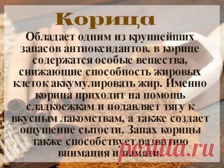 О пользе корицы