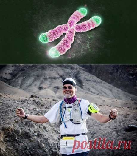 «Каждый раз, когда кто-то умирает, я думаю, что это наш провал»: биолог Билл Эндрюс о теломерах и лекарстве от старости