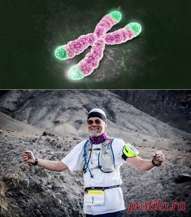 «Каждый раз, когда кто-то умирает, я думаю, что это наш провал»: биолог Билл Эндрюс о теломерах и лекарстве от старости