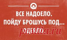 20 открыток для ценителей сна – Фитнес для мозга
