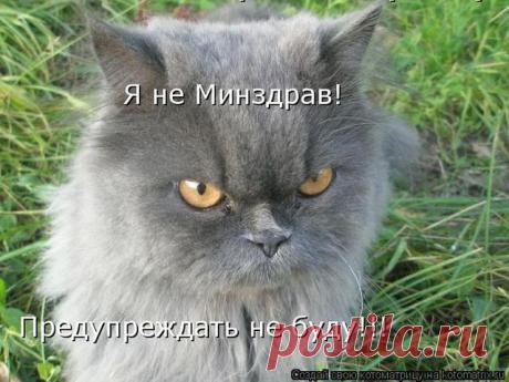 (3) Одноклассники