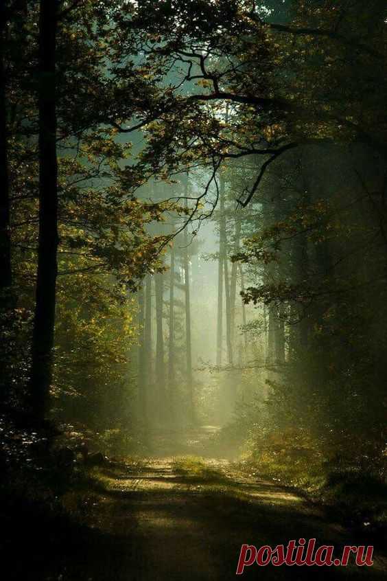 (162) Pinterest