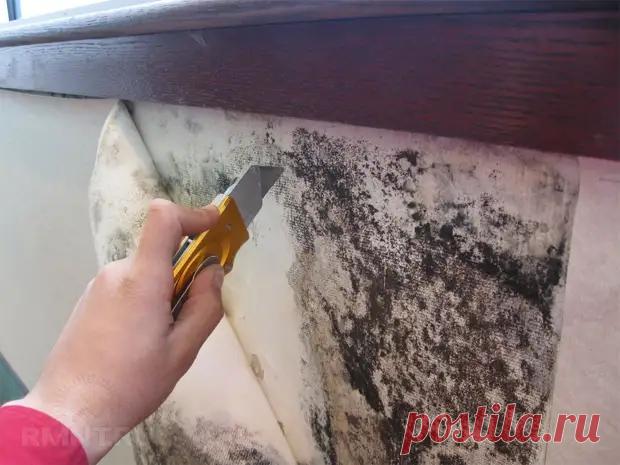 Реставрация старых обоев своими руками - Квартира, дом, дача - медиаплатформа МирТесен